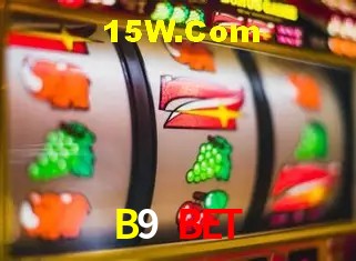 B9 Bet - Login Methods