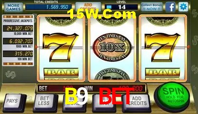 B9 Bet - User Statistics