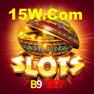 B9 Bet - Installation Guide